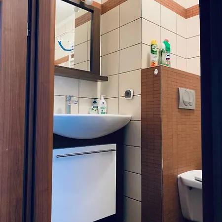 Apartament Na Winogradach 아파트 포즈난